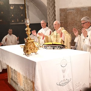 Proslava 50 godina svećeništva mons. Želimira Puljića u katedrali sv. Stošije u Zadru